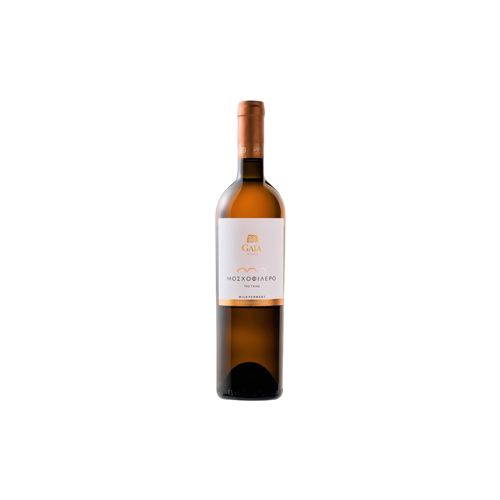 Thanisch, Spatburgunder (Pinot nero) unfiltriert 2017, Bottiglia 750 ml